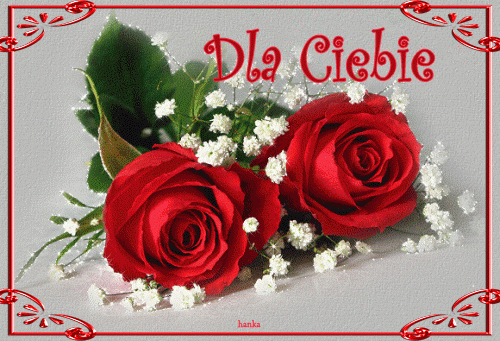 dwie czerwone róże dla ciebie (1)